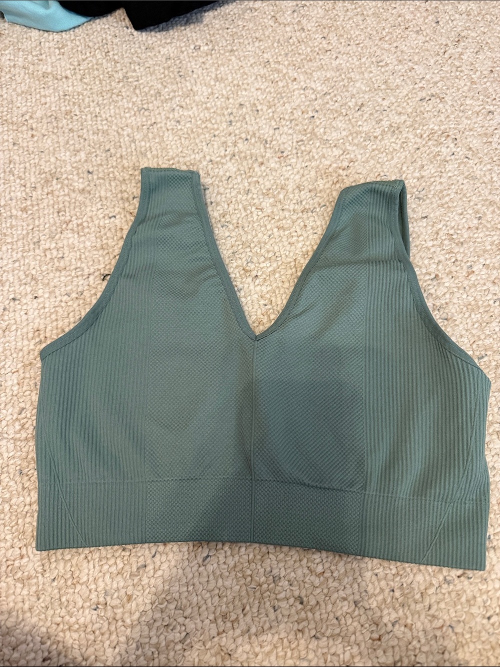 Seamless V-Neck Ribbed Bralette in Sage Green